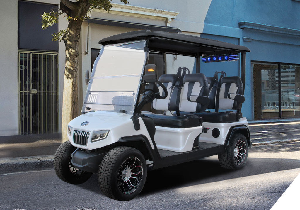 pro D5 RANGER 4 pic 3a