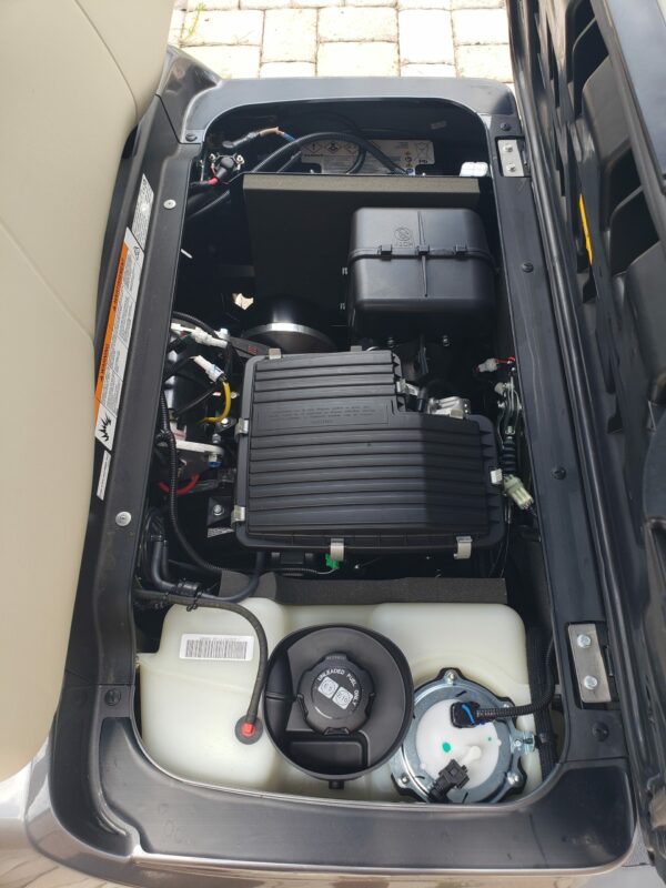 2024 Yamaha Drive2 PTV Gas 2 Passenger - Image 3