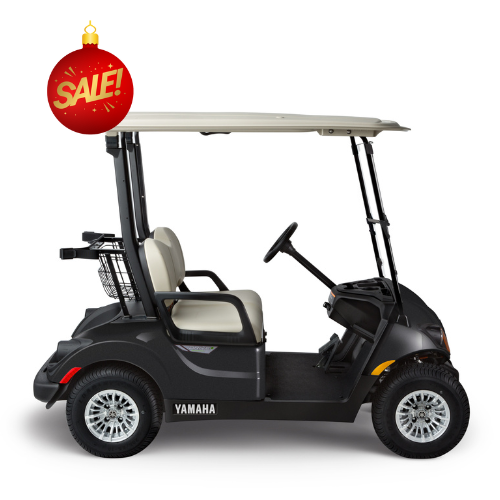 2024 Yamaha Drive2 PTV Gas 2 Passenger